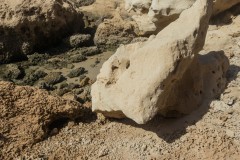 80D_Landscape0085