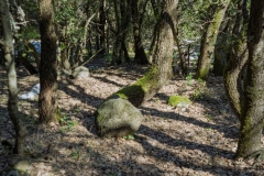 06-Tel-Qutza