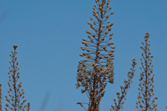 01-Udim-Nature-Reserve