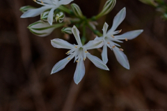 02-Udim-Nature-Reserve