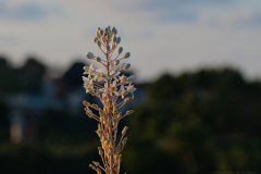03-Udim-Nature-Reserve