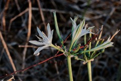 05-Udim-Nature-Reserve